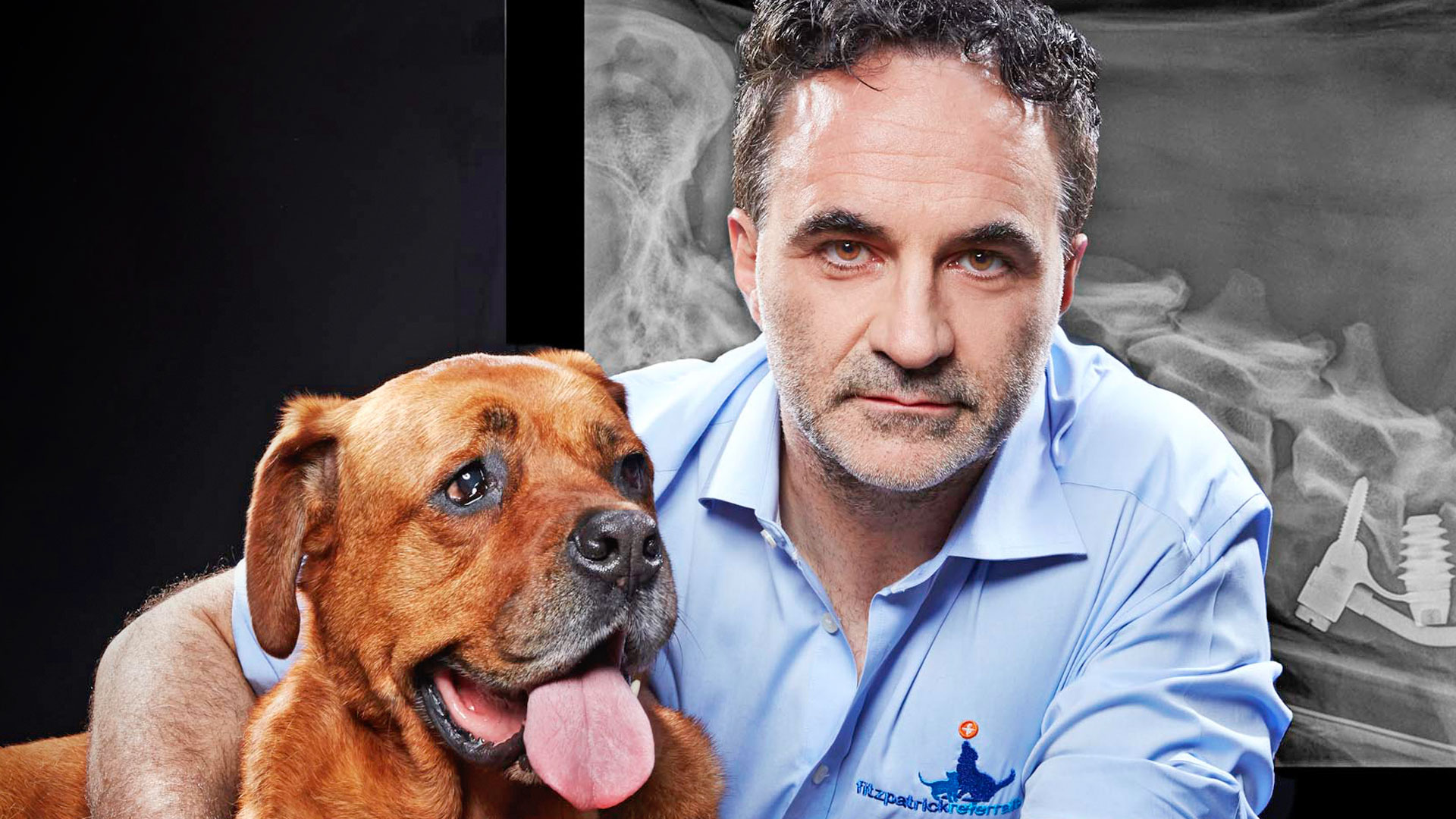 The Supervet The Supervet