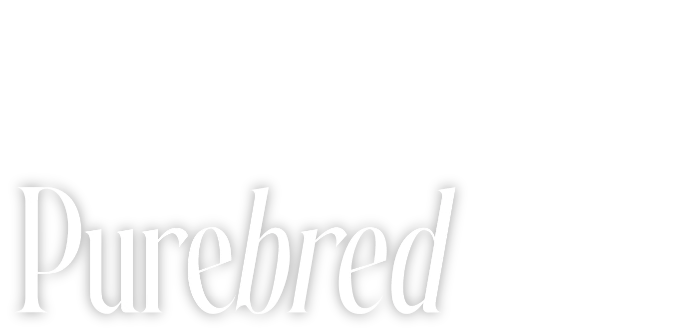 Watch Purebred | Stream free on Channel 4