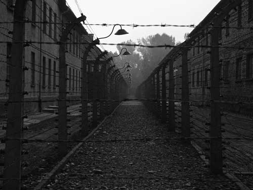 Holocaust Night Will Fall Articles About the film All 4