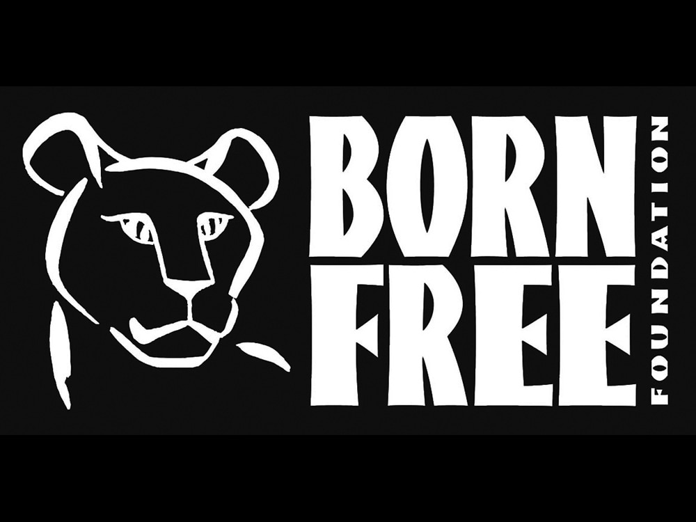 Virginia McKenna's Born Free All 4