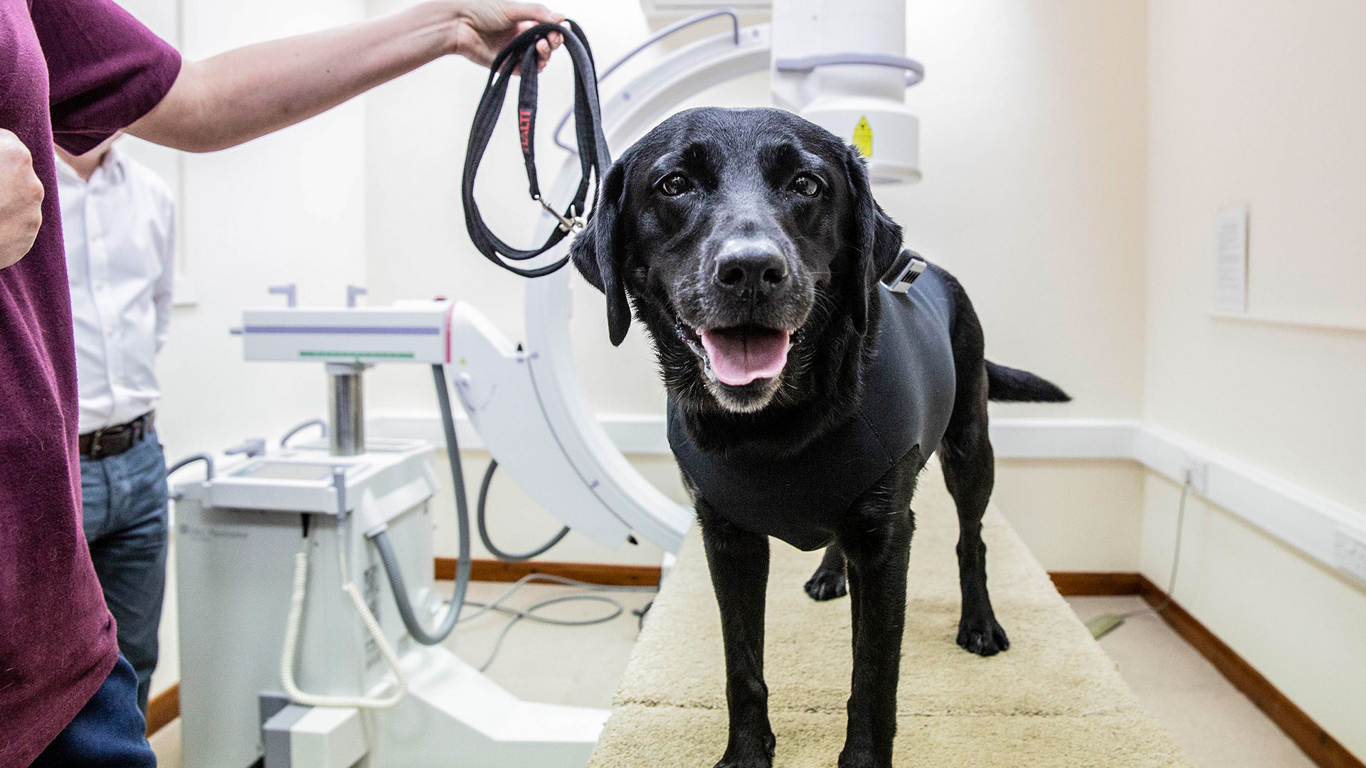 Britain's Giant Pet Food Factory All 4