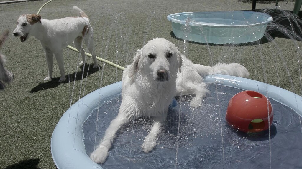 inside beverly hills land of rich and famous all 4 inside beverly hills land of rich and famous all 4