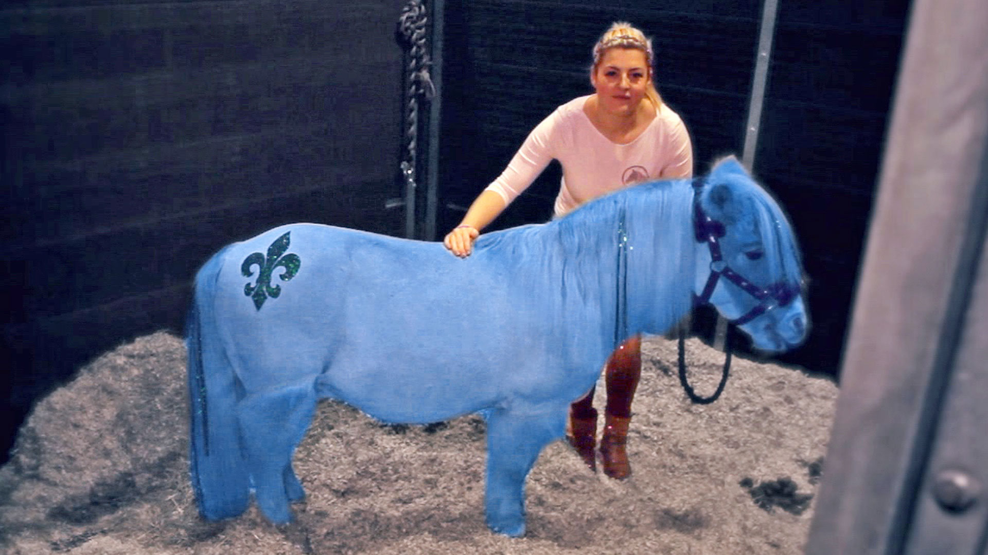 My Weird Hobby Channel 4