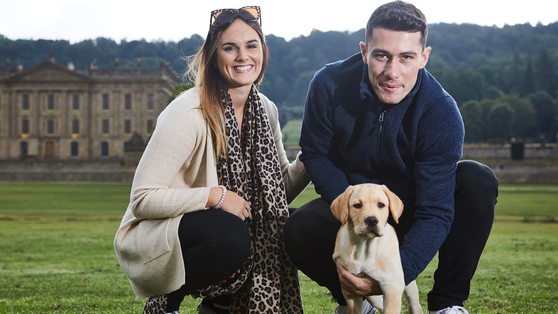 dog hairball treatment