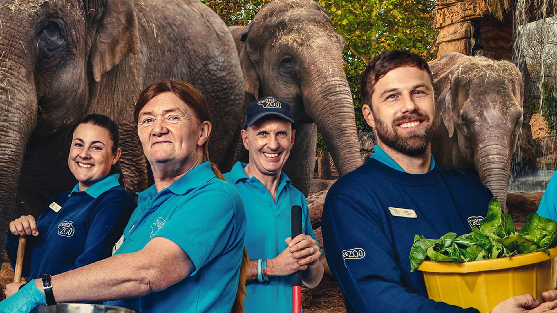 First dates on demand all 4