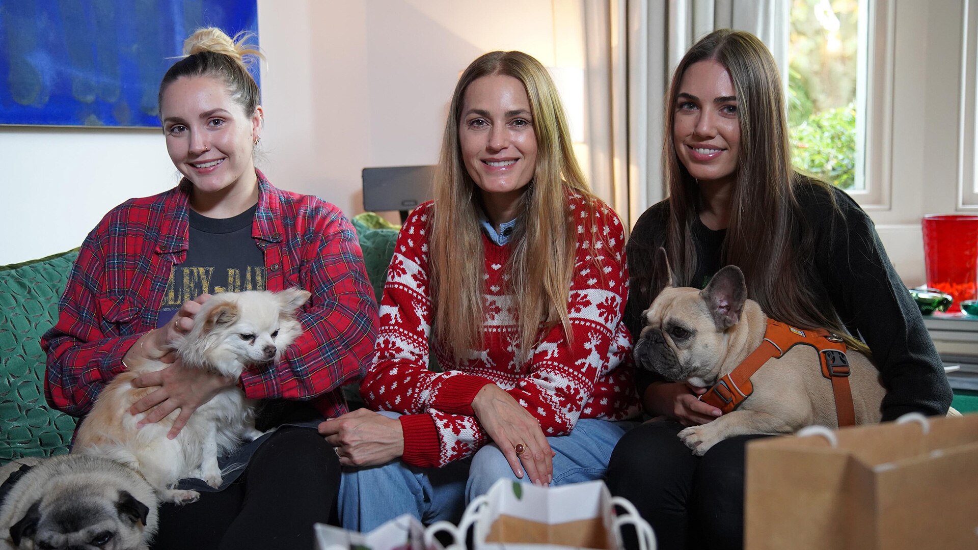 The Supervet At Christmas 2022 Watch The Supervet: Noel Fitzpatrick: The Supervet At Christmas 2020 - All 4