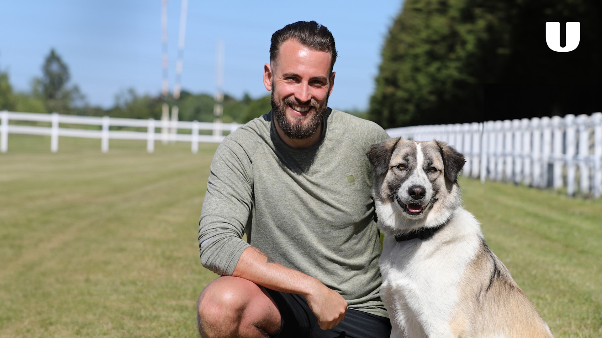 animals_reunited_brand_1920x1080