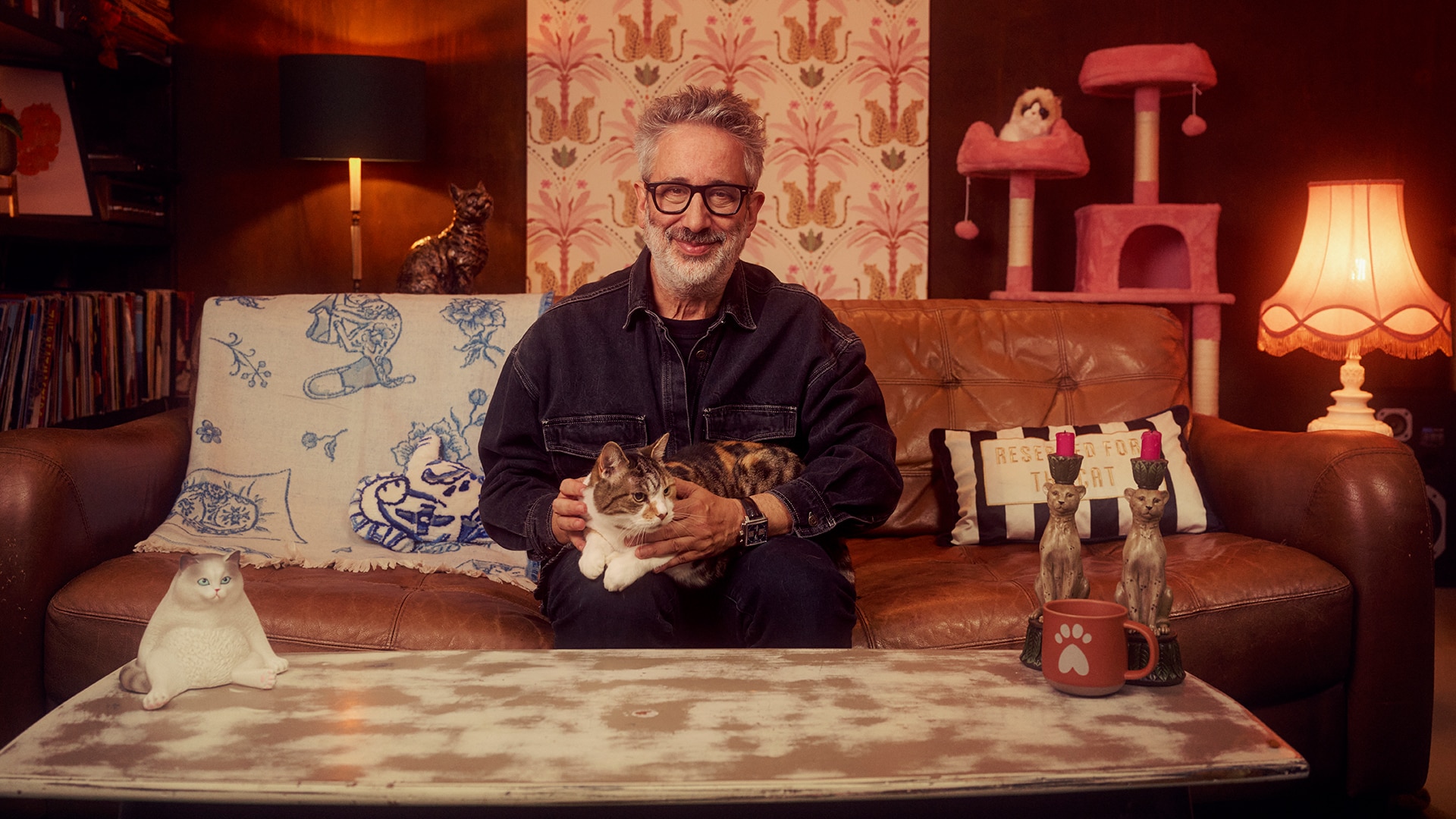 David_Baddiel_Cat_Man_S1_Brand_1920x1080