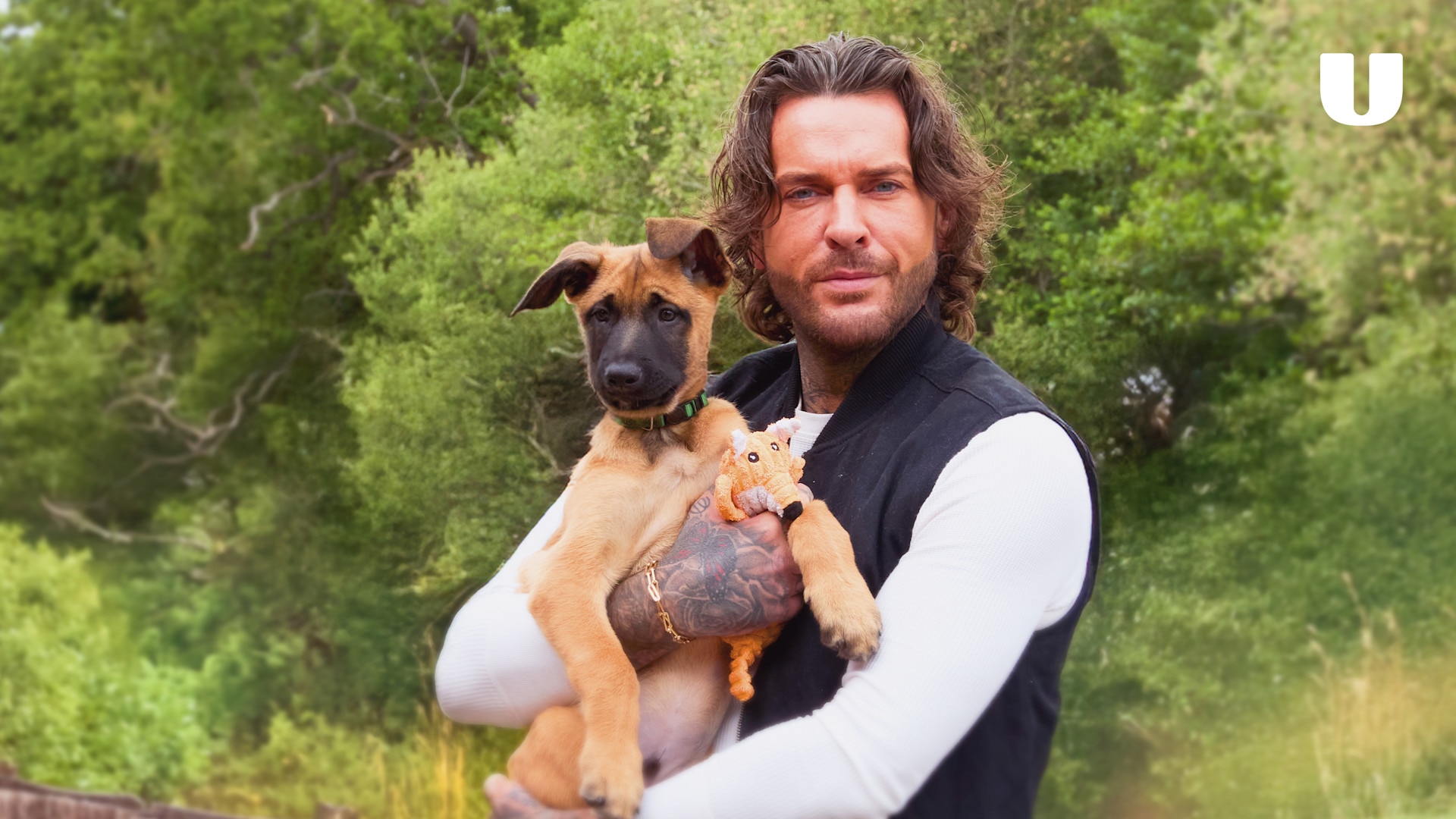 Watch Pete Wicks: For Dogs' Sake | Stream free on Channel 4