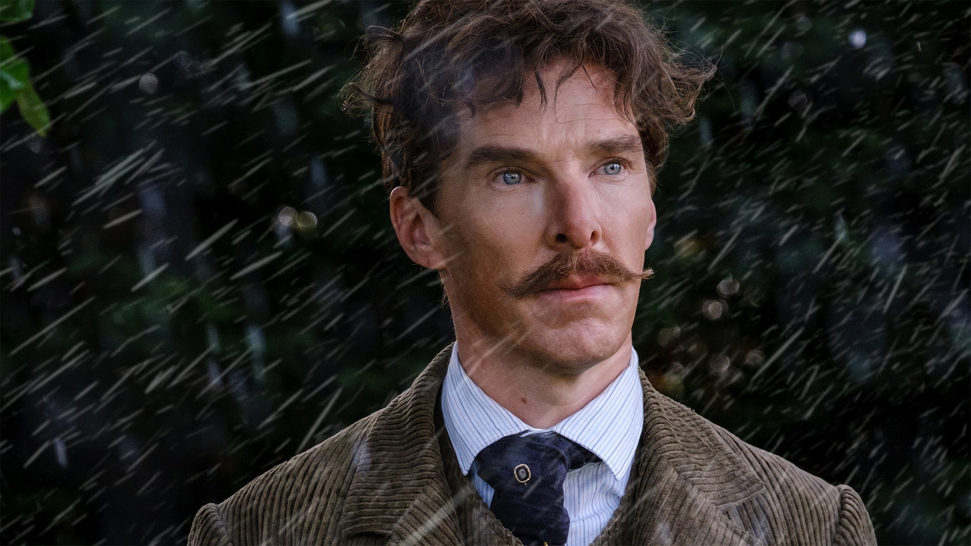 David Cumberbatch's Instagram, Twitter & Facebook on IDCrawl